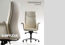 Load image into Gallery viewer, U SUMPTOUS EXECUTIVE OFFICE CHAIR
